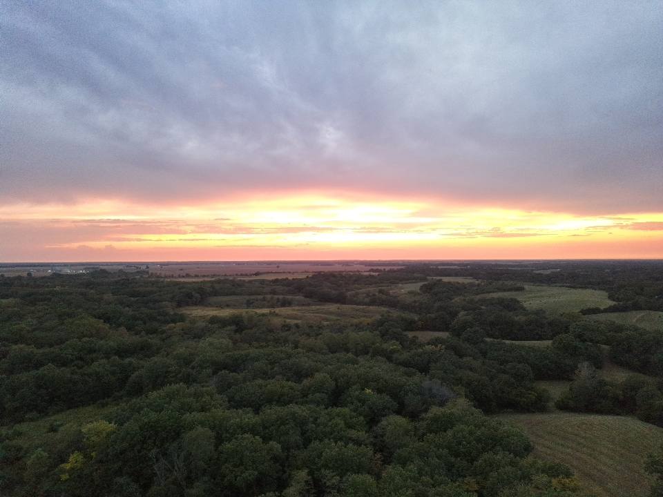 Professional drone deer recovery services