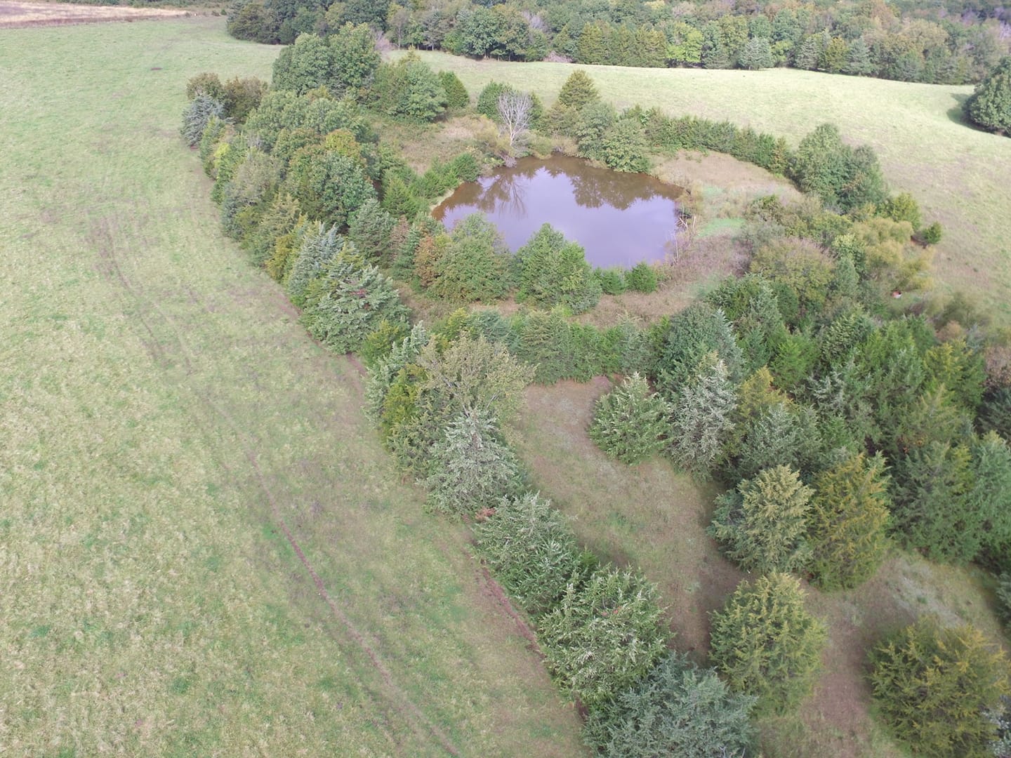 Drone deer recovery equipment